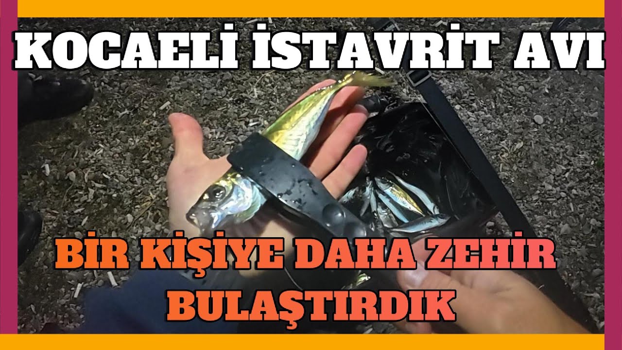 KOCAELİ LRF AVI, BİR KİŞİYİ DAHA ZEHİRLEDİK !!