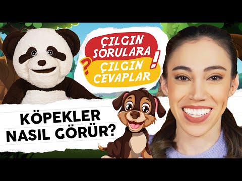 KÖPEKLER NASIL GÖRÜR? | ÇILGIN SORULARA ÇILGIN CEVAPLAR