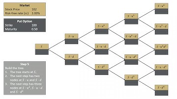 Binomial Tree - Four Step European Put Option