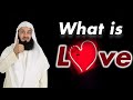 The meaning of true love  mufti menk