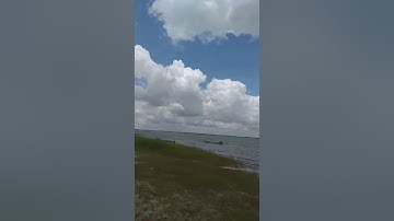 Long ho dau tieng hay con goi dap dau tieng