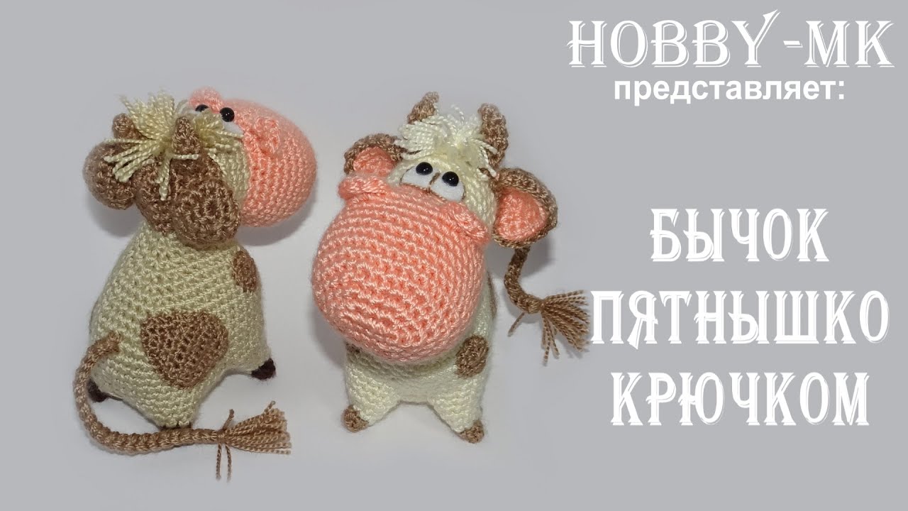 Символ Нового 2022 Года Крючком