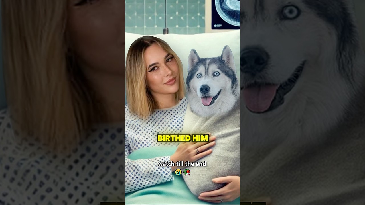 Dog moms are parents, period #DogMom #Respect