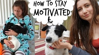 How To Stay Motivated With Pets