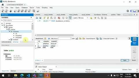 MYSQL Workbench duomenų bazės sukūrimas