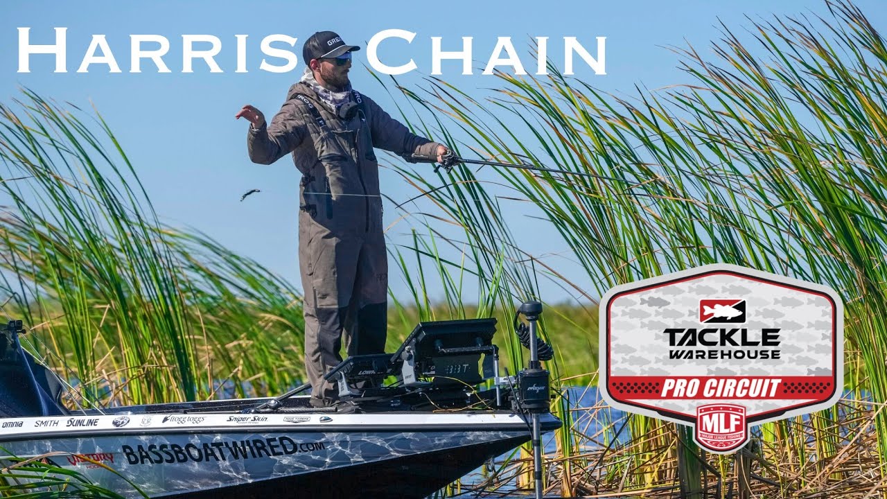 Переворачивание цепи Харриса | MLF PRO CIRCUIT