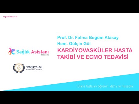 Video: Devre Paylaşım Sunumundan Nasıl Kaçınılır