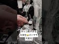 パーマかけたらカッコよくなりすぎた