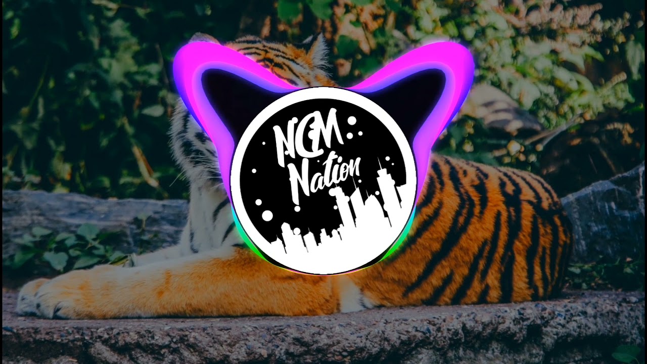 NMS-Best of Me - YouTube