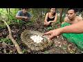 Girl Finds Giant Python Nest in the Forest 😱 4 Brave People Capture and Release It!