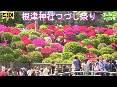 紫紅社『根来』 細見コレクションの漆芸 根来 NEGORO －朱と黒のかたち－ | 終了