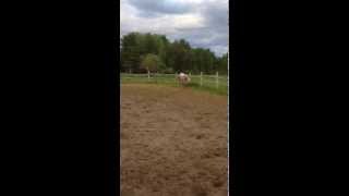 IMG 0444