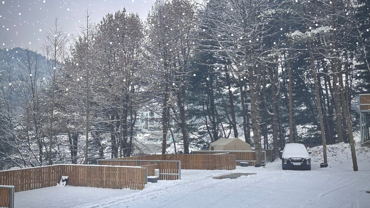 선택적고립, 뷰맛집 핫한 캠핑장에서 설중캠❄️|⛺️명당추천|강아지 세마리와 애견동반캠핑🐶