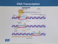 BT504 Genomics and Proteomics Lecture No 4