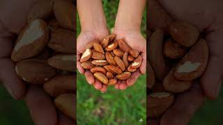 Five Superfoods for your thyroid gland 🌰🥚🍀 Stop ignoring your thyroid health 🦋 #thyroidcare