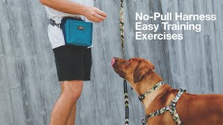 NoPull Training Exercises