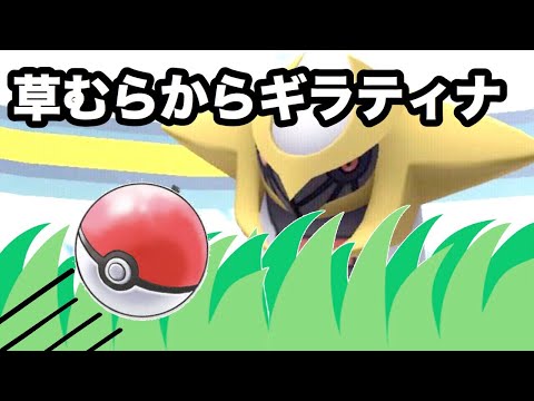 【ポケモンGO】【バグ】草むらからギラティナ
