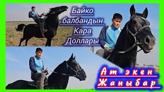 картинка: Если в каждом уголке Кыргызстана есть ребенок, пусть попробует 👆 Пусть покатается на ребенке 👆