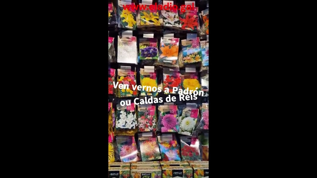 Primavera de Vivaldi