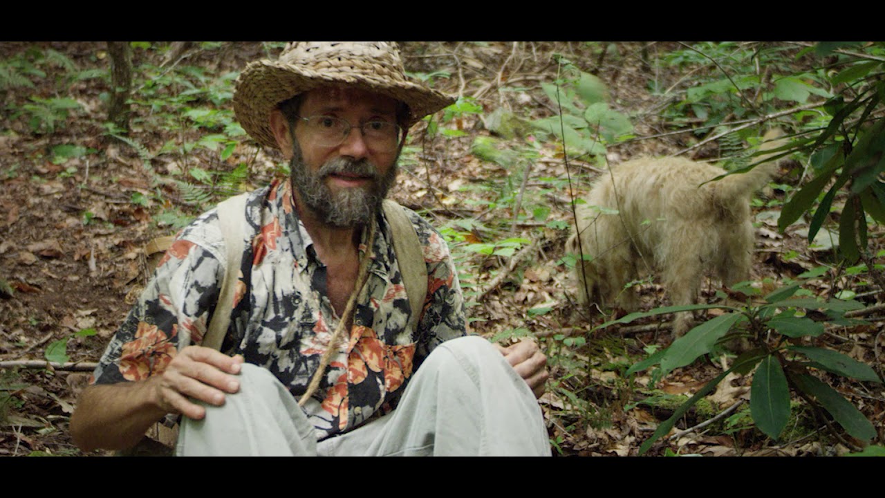 Foraging with Doug Elliott GINSENG - YouTube
