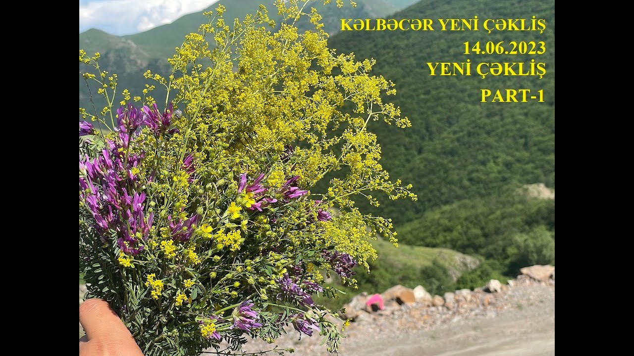Kəlbəcər Yeni Çəkliş (14.06.2023)(Part 1)