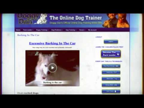 Online Dog Trainer Members Area Login