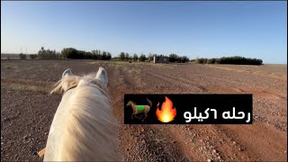 فلوق رقم ١ || رحله ٦ كيلو على الخيل 🐎وركوب ممتع 🔥👍🏻😎