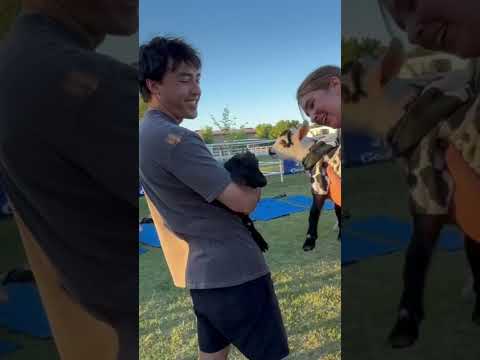 YouTube video