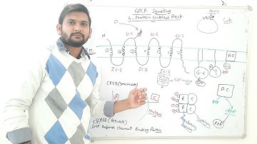 GPCR (G-Protein Coupled Receptor) Signalling|CSIR NET|