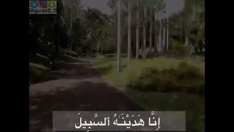 القارئ /عمر هشام العربي /سورة الانسان/🦋💗