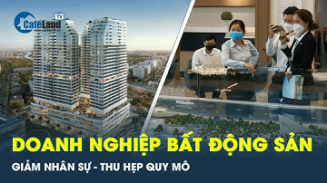 Nhiều doanh nghiệp BĐS cắt giảm 50% nhân sự | CafeLand