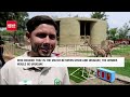 2026 FIFA World Cup: Group L Set to Ignite with Revenge, Redemption & Upsets