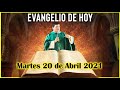 Importancia de la Eucaristía PAN DE VIDA - Padre Marcos Galvis 🔴 EN VIVO