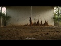 Burning Birds Trailer ( දැවෙන විහඟුන් චිත්‍රපටය)