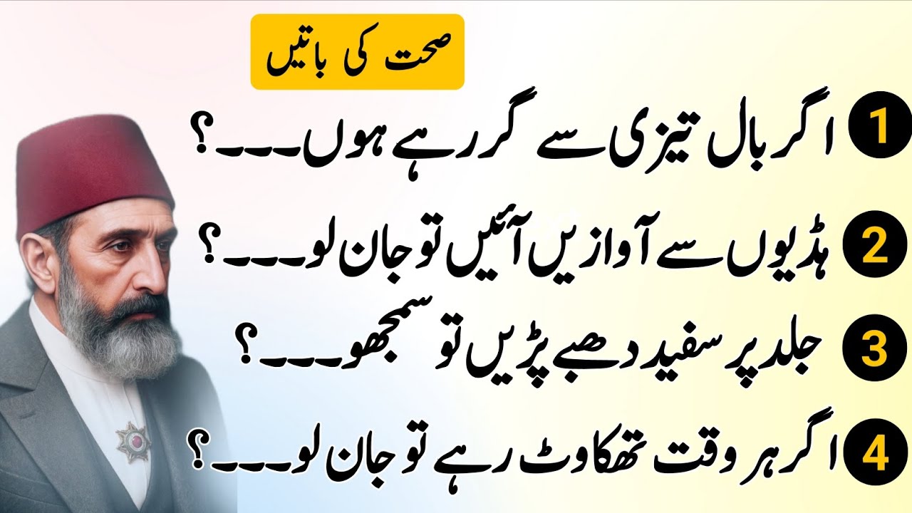 Hikmat Ki Batain | Luqman Hakeem Quotes | Wisdom Quotes in Urdu | Danai ki Batain | Best Quotes