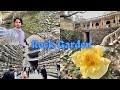 Rock garden 