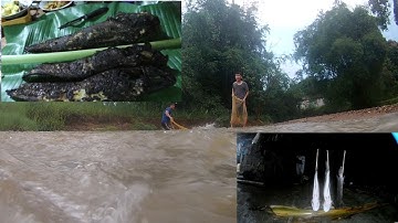 QUĂNG CHÀI BẮT CÁ//CUỘC SỐNG NƠI LÀNG QUÊ THANH BÌNH CÙNG NHỮNG NGƯỜI ANH EM