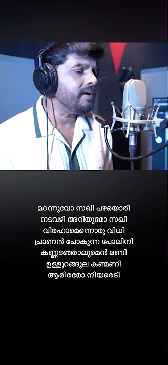 marannuvo saghi song lyrics | navas song | #trending #support #music #lyrics #new
