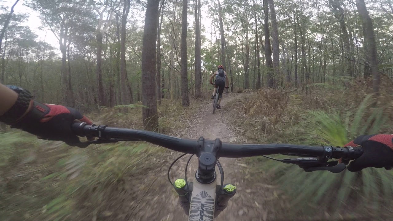 Bayview MTB Trails