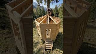 🏡 Building a Dream Tiny Cabin in the Forest 🌲 | Satisfying Woodworking Transformation #home #usa