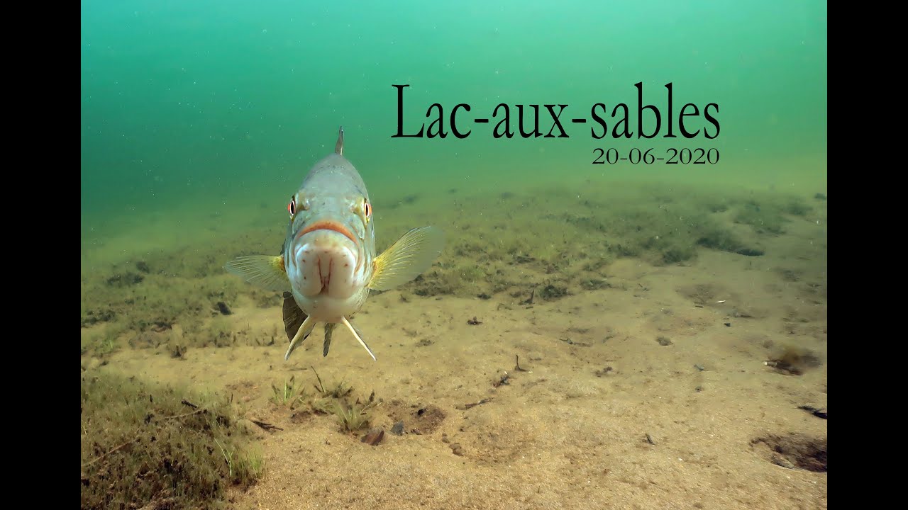 Plongée Lacauxsables YouTube