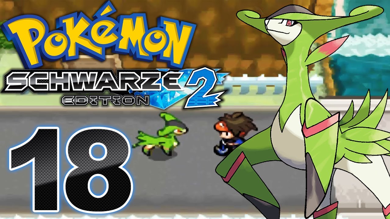 Pokémon Schwarze Edition