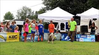 X games Canines in the Clouds Ground Act 2015 screenshot 5