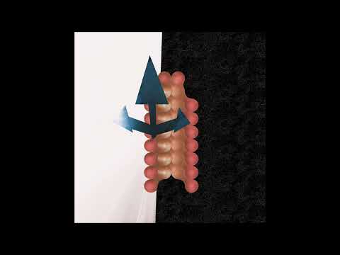 Wata Igarashi, Polygonia – Cross Passage – 4 x File (WAV), 2025