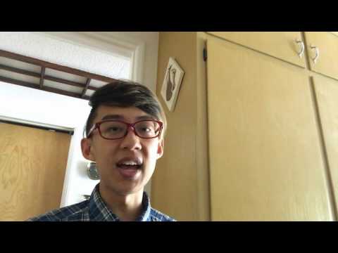 Wie ein Manga Künstler in Japan (Mangaka) sein,