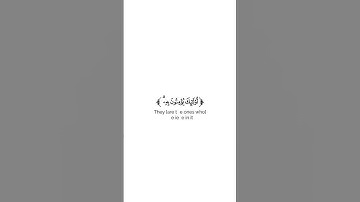 🌿كروم بذور الخير  شاشه بيضاء 🌿تلاوة من سورة البقرة 🌿 القارئ محمد هشام حسن🌿