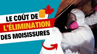 Le Coût De Lélimination Des Moisissures - Mold Busters