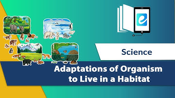 Adaptations of Organisms to Live in a Habitat ||Science||  Animated Video