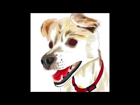 프로크리에이트, 강아지 그리기