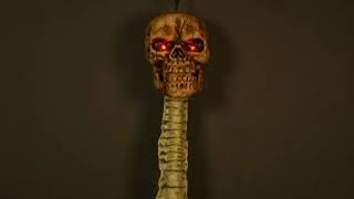 Bone Head Talking Skull